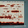 Like a Bird in the Wilderness - The Bifurcators & Blue Gene Tyranny
