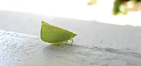 DSCN79770010