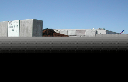 DSCN8781