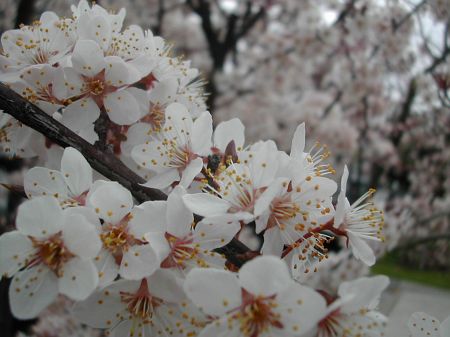 DSCN9904