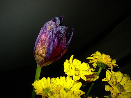 IMG_4706