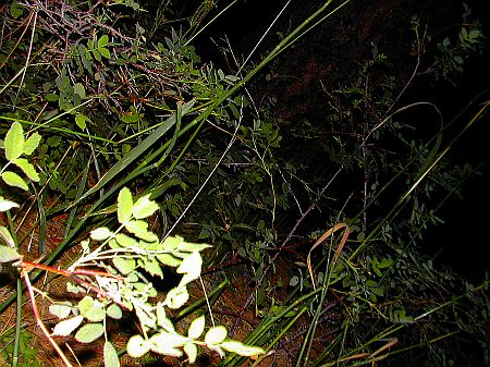 DSCN0369
